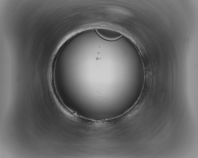 X0000115761523200911201148