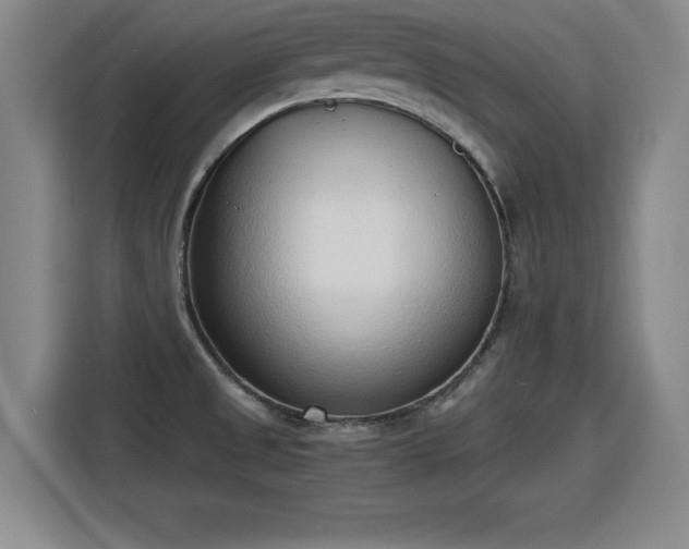 X0000115761525200911201148