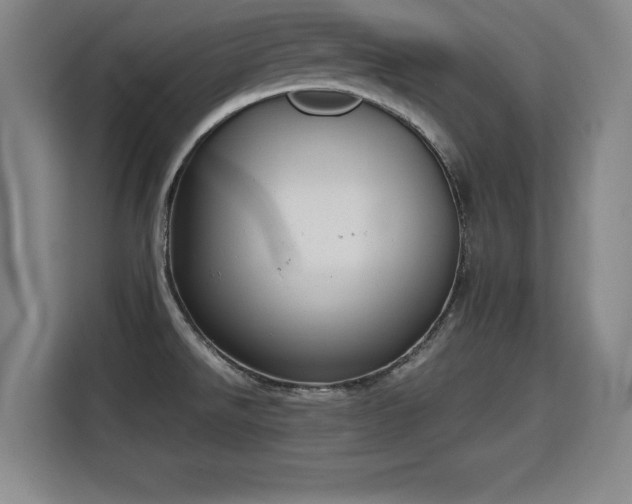 X0000115761526200911201148