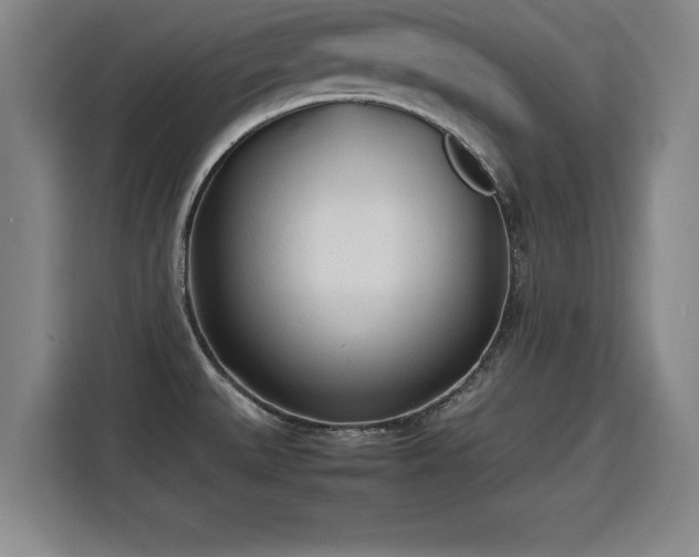 X0000115761527200911201148