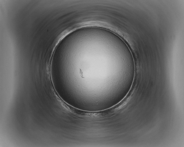 X0000115761529200911201148