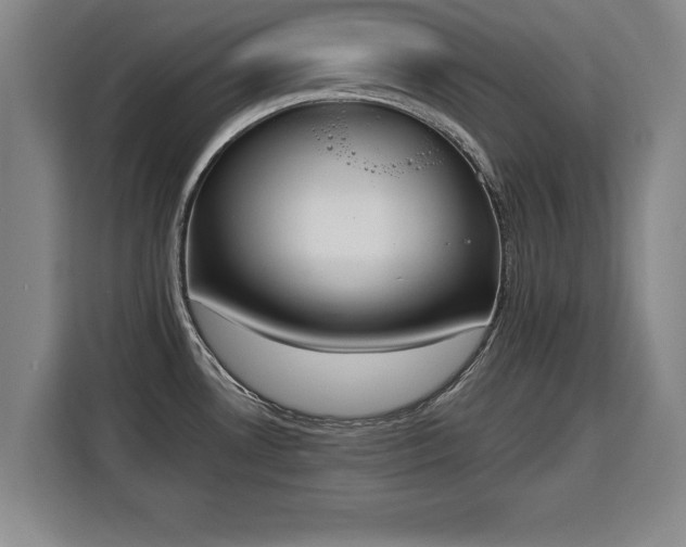 X0000115761530200911201148