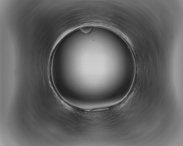 X0000115761533200911201148