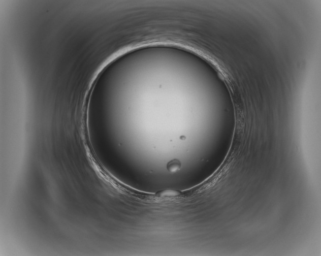 X0000115761534200911201148