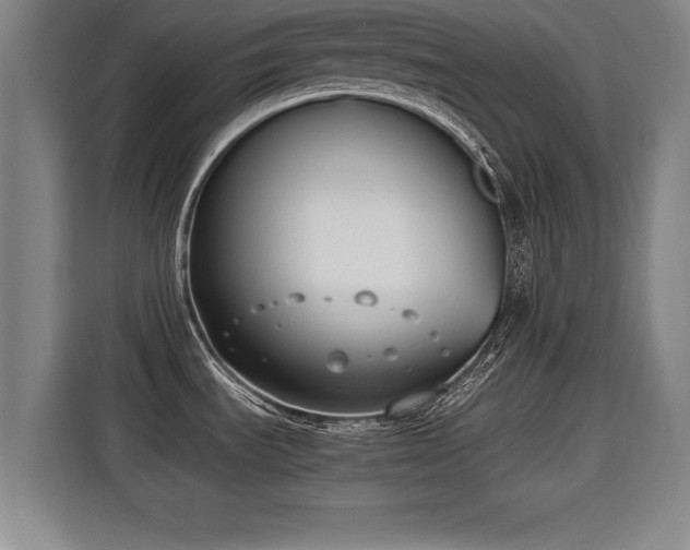 X0000115761535200911201148