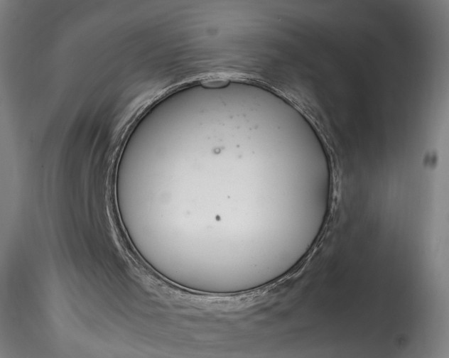 X0000115760001200911271127