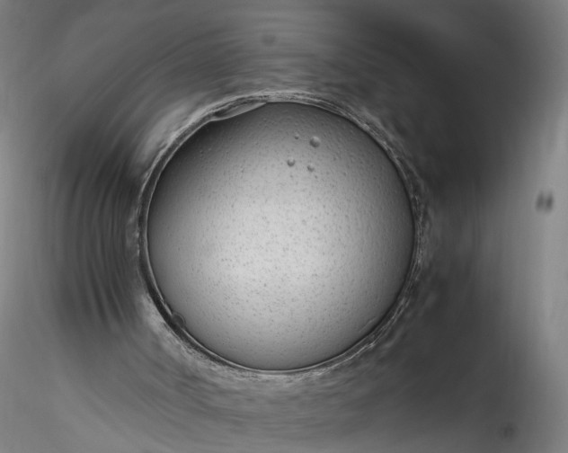 X0000115760002200911271127