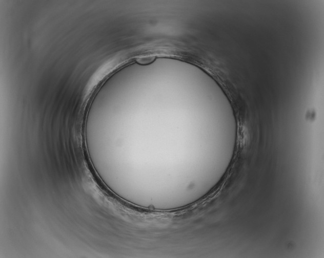 X0000115760004200911271127