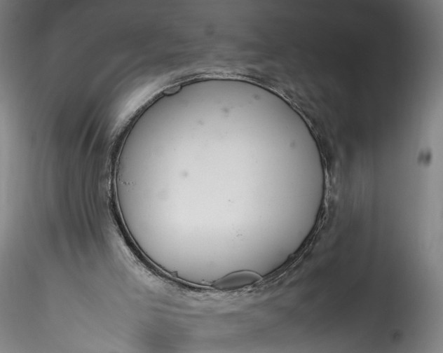 X0000115760005200911271127