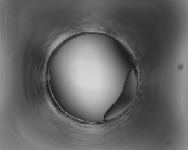 X0000115760008200911271127