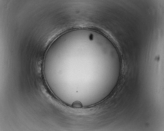 X0000115760010200911271127