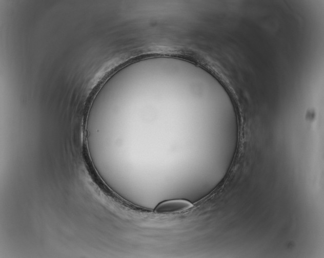 X0000115760011200911271127