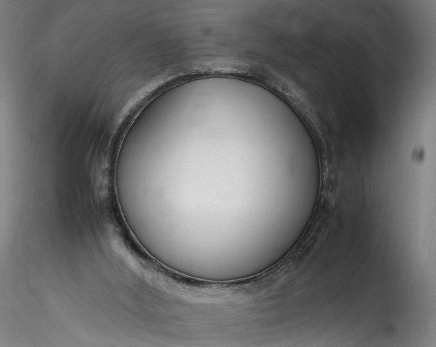 X0000115760012200911271127