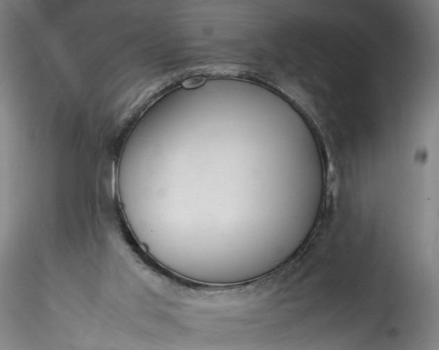 X0000115760013200911271127