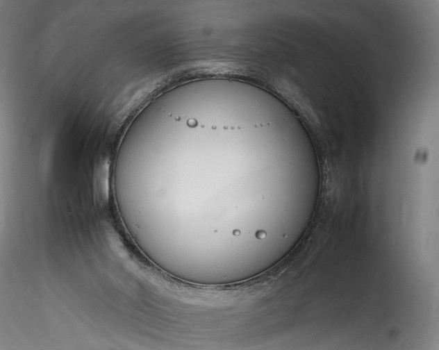 X0000115760014200911271127