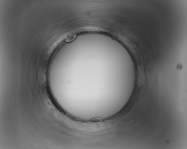 X0000115760015200911271127