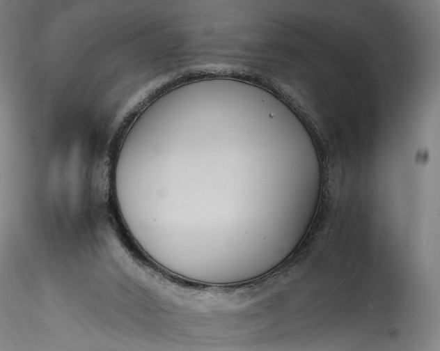 X0000115760016200911271127