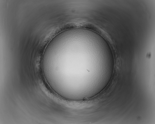 X0000115760018200911271127