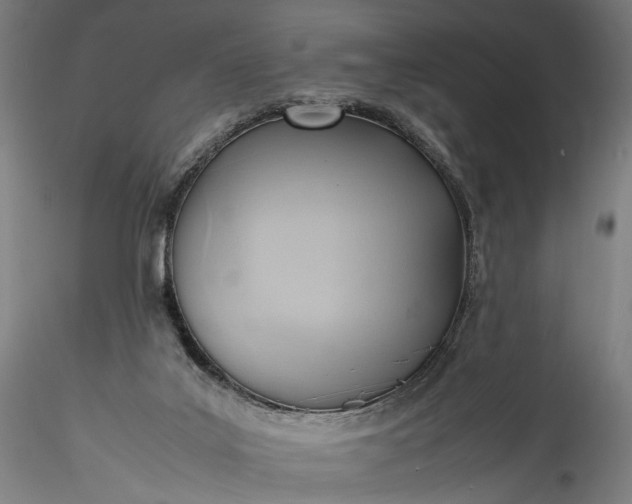 X0000115760019200911271127