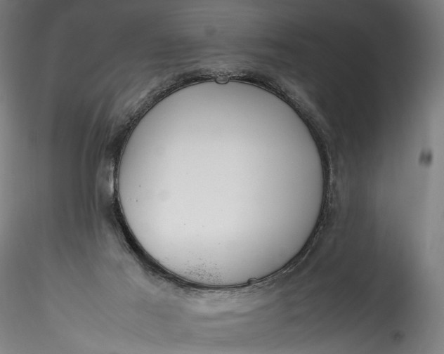 X0000115760021200911271127