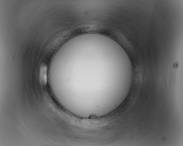 X0000115760022200911271127