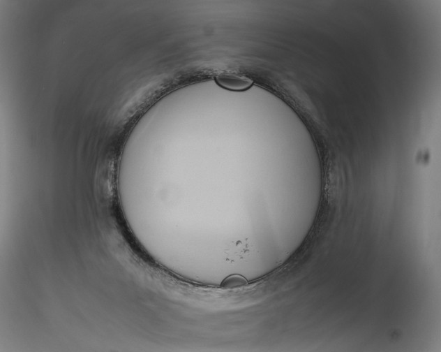 X0000115760023200911271127