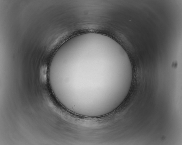 X0000115760024200911271127