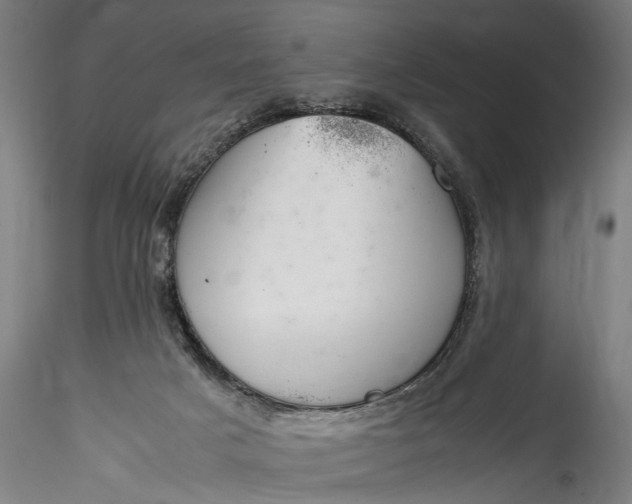 X0000115760025200911271127