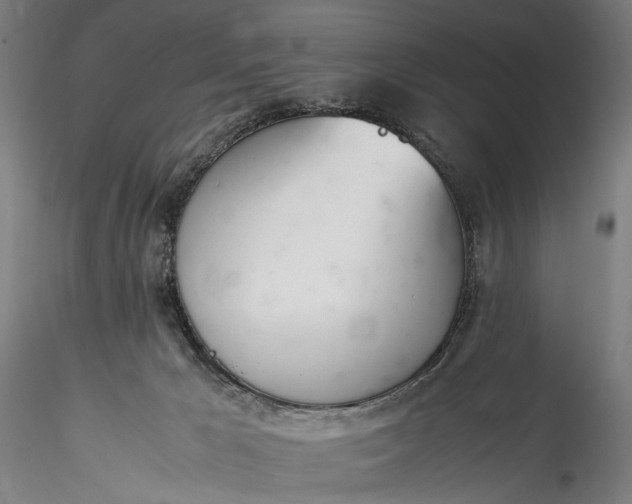 X0000115760029200911271127