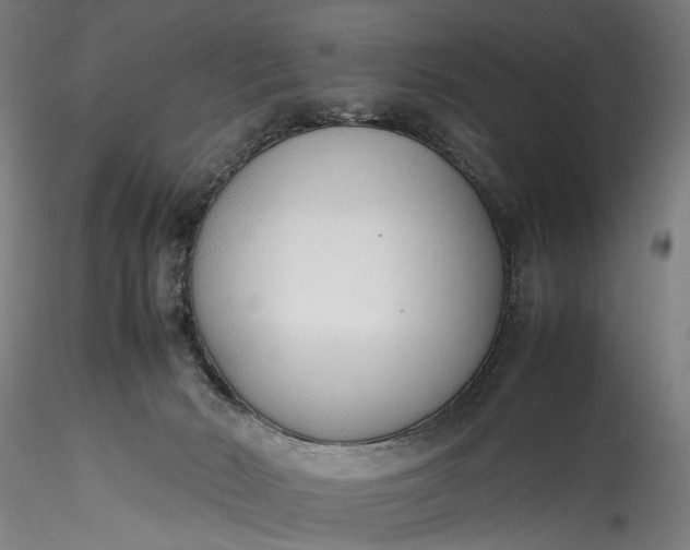 X0000115760030200911271127