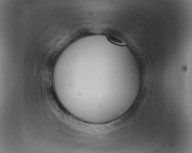 X0000115760031200911271127