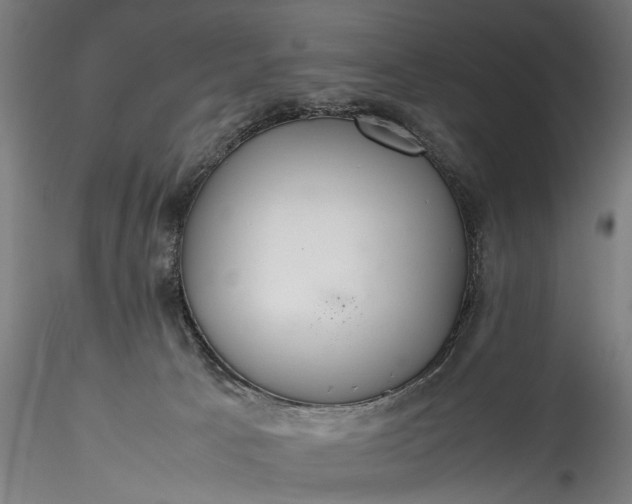 X0000115760033200911271127