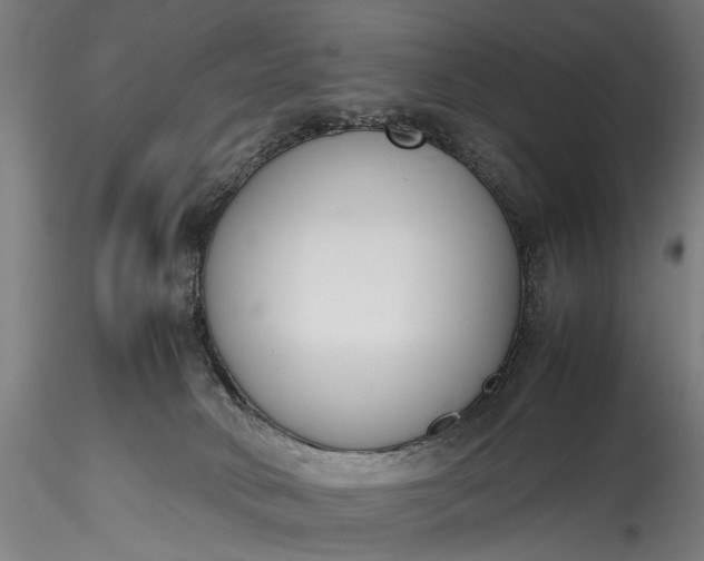 X0000115760034200911271127