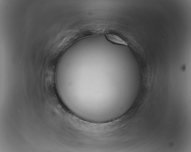 X0000115760035200911271127