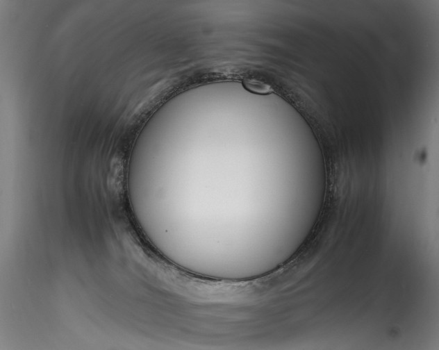 X0000115760036200911271127