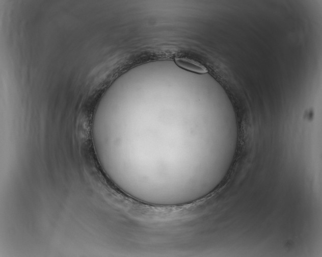 X0000115760037200911271127