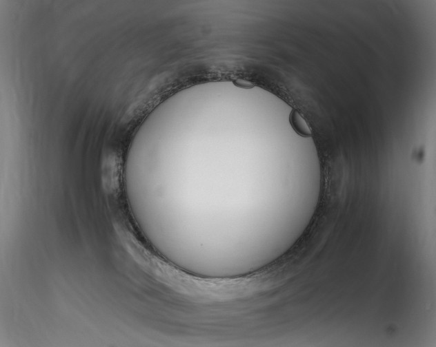 X0000115760038200911271127