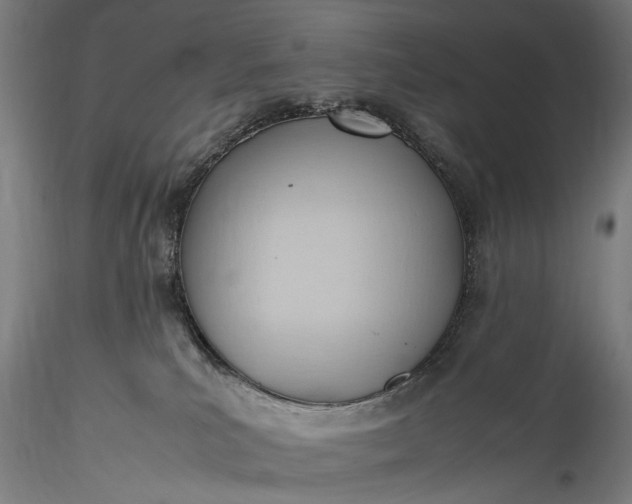 X0000115760039200911271127