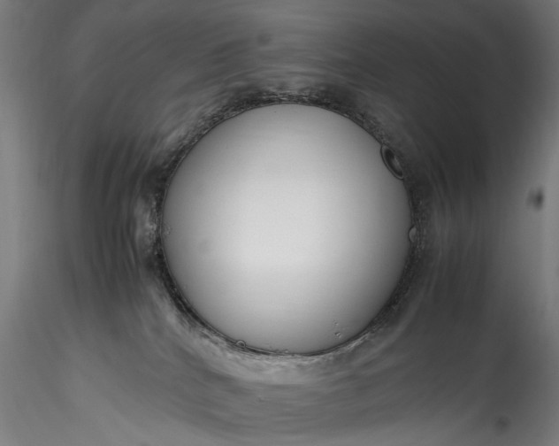 X0000115760040200911271127