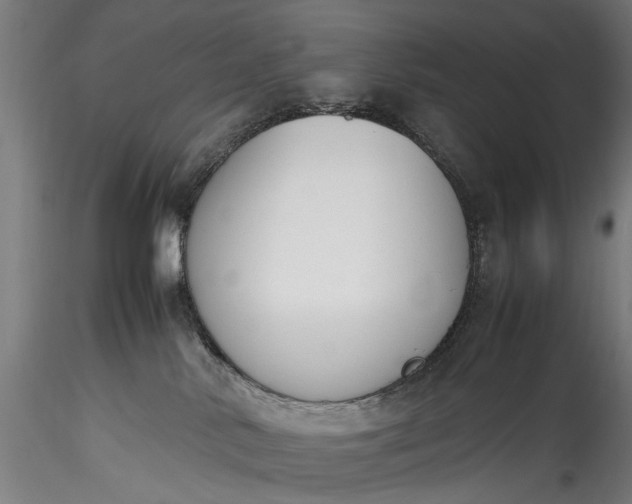 X0000115760042200911271127