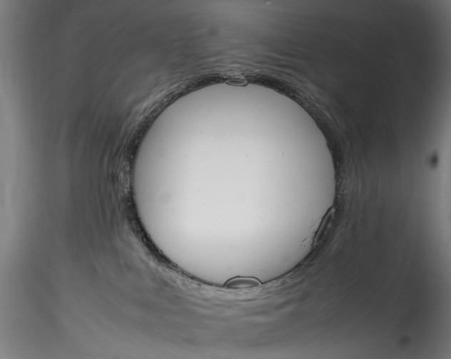 X0000115760043200911271127