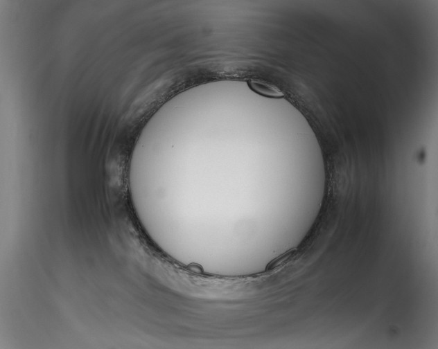 X0000115760044200911271127