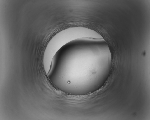 X0000115760045200911271127