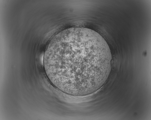 X0000115760047200911271127