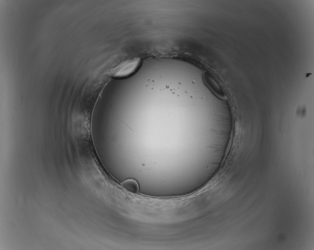 X0000115760048200911271127