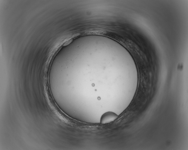 X0000115760049200911271126