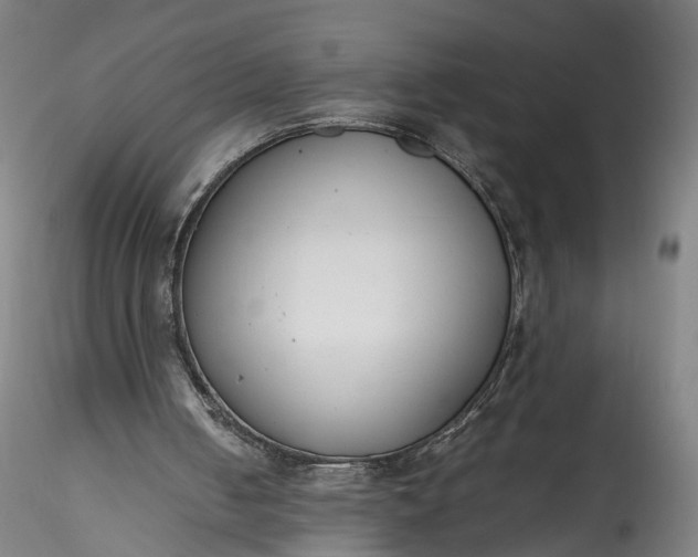 X0000115760050200911271126