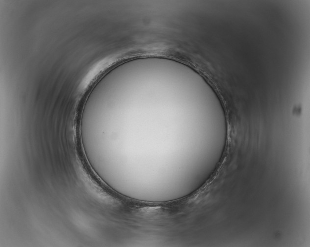 X0000115760054200911271126