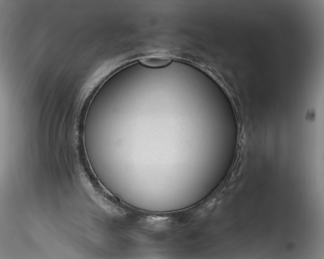 X0000115760055200911271126