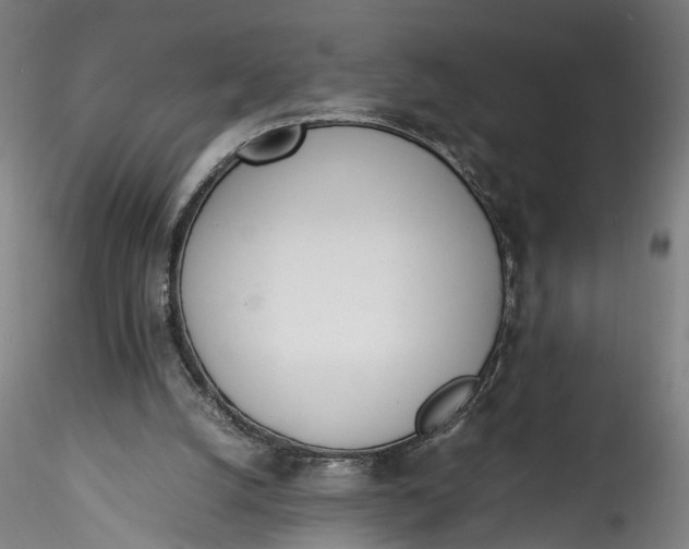 X0000115760056200911271126